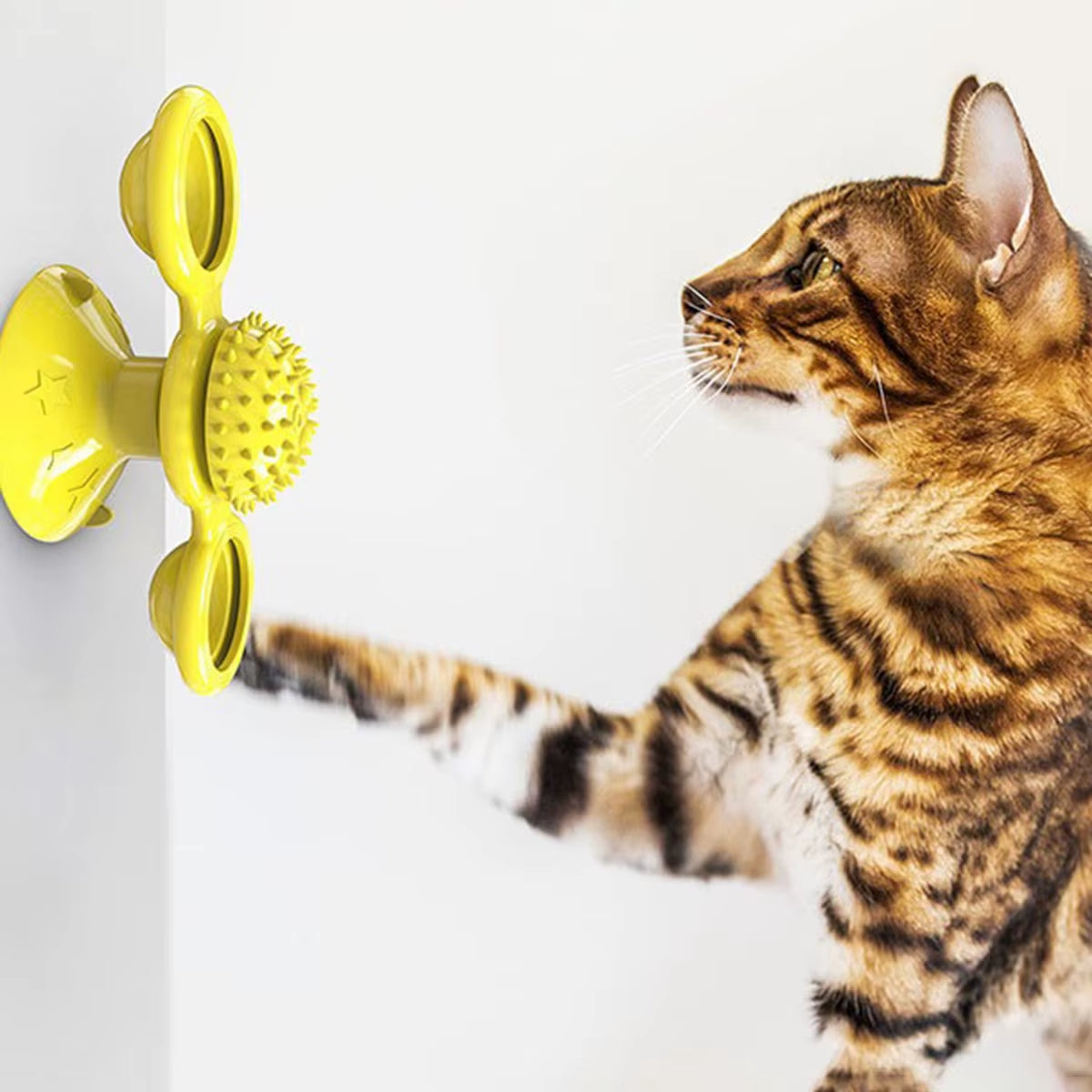 Juguete multifuncional para gatos con bola brillante y hierba gatera, diseño de ventosa, juego interactivo y masaje dental